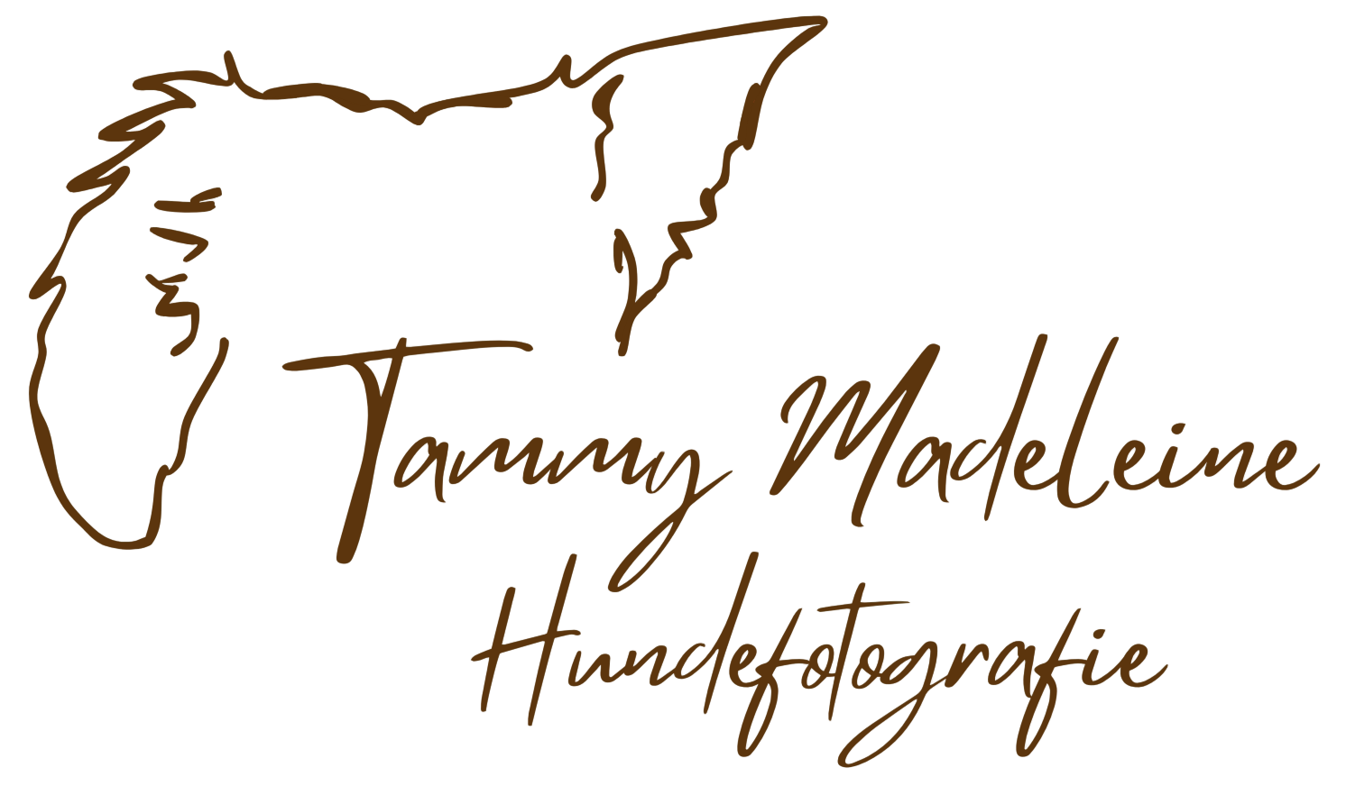 Tammy Madeleine Hundefotografie 